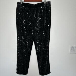 Chicos Black Velvet Sequin Size 14